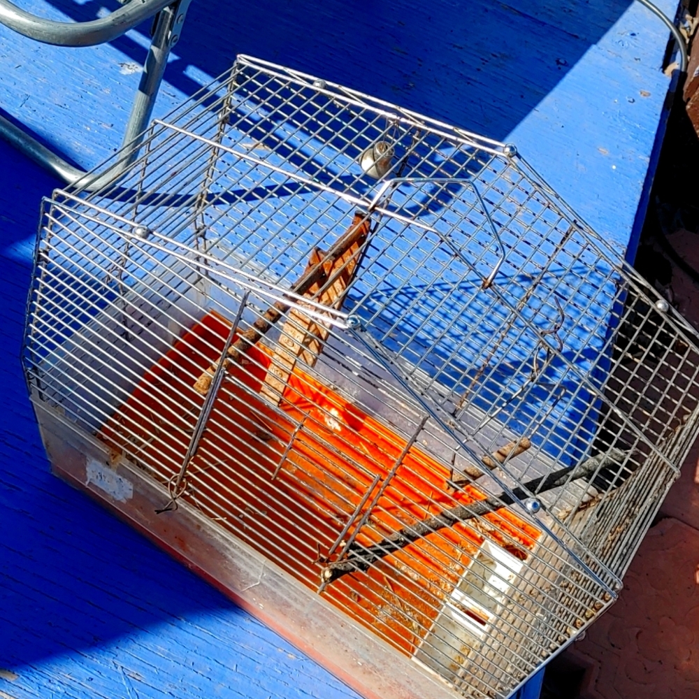 Bird cage wonderful home for that special someone